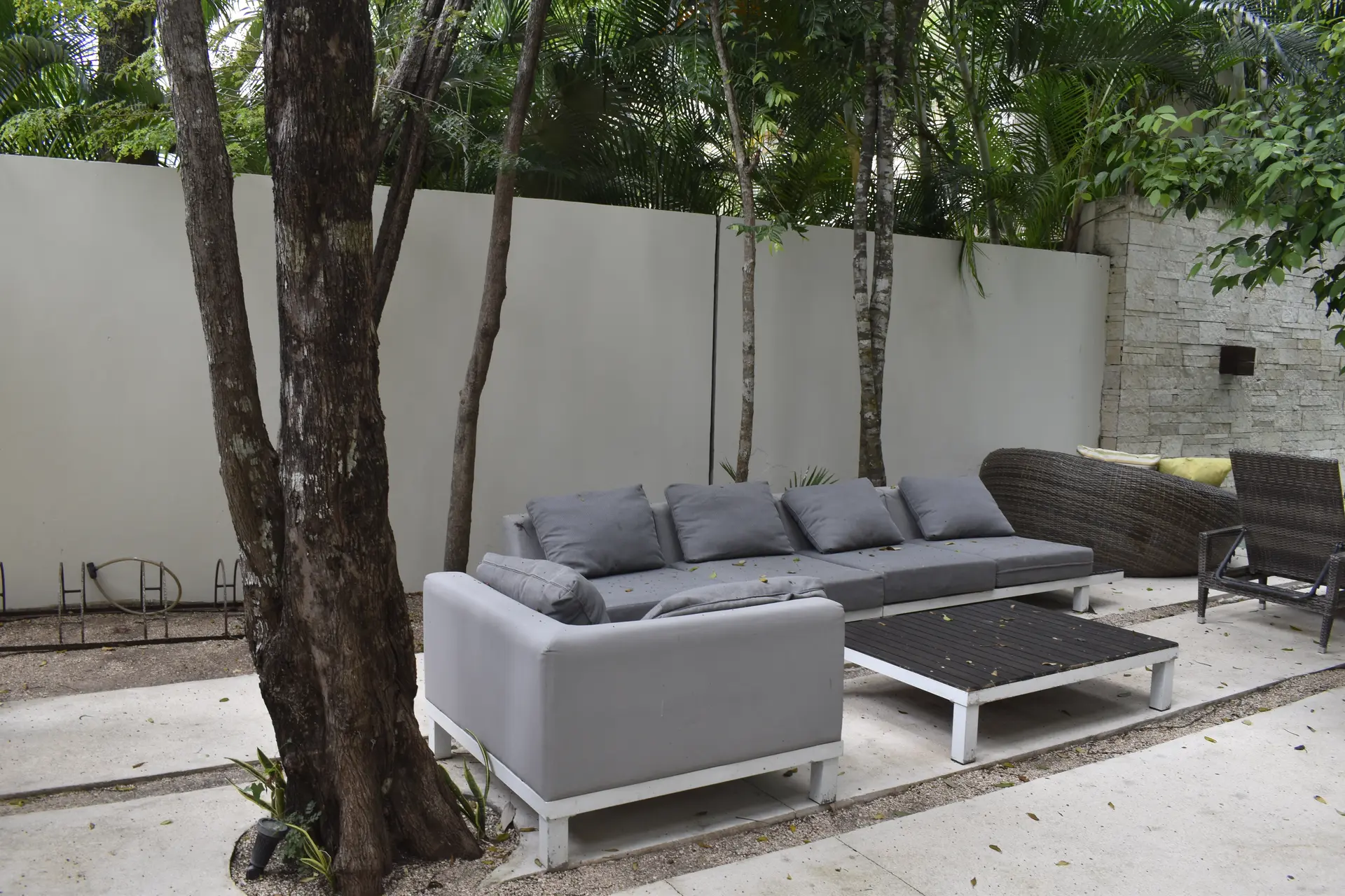 Área exterior rodeada de vegetación en una propiedad de Tulum